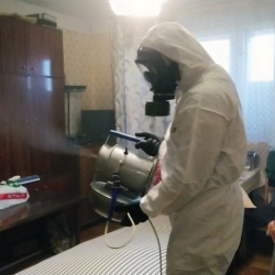 Дезинфекция от клопов в Воронеже