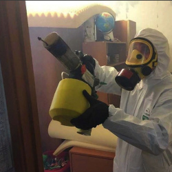Уничтожение клопов в квартире. Воронеж